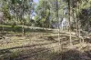 Lot 22, 35 Paratoo Road, Stirling, SA 5152-Image