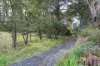 Lot 22, 35 Paratoo Road, Stirling, SA 5152-Image