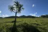 Lot 22 MARLOW, Rifle Range Road Hidden Valley, Preston, Qld 4800-Image