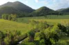 Lot 22 MARLOW, Rifle Range Road Hidden Valley, Preston, Qld 4800-Image