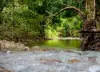 Lot 22 MARLOW, Rifle Range Road Hidden Valley, Preston, Qld 4800-Image