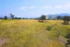 Lot 226 Durham Road, East Gresford, NSW 2311-Image
