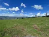 Lot 23 - 25, Binna Burra Road, Beechmont, Qld 4211-Image