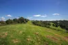 Lot 23 - 25, Binna Burra Road, Beechmont, Qld 4211-Image