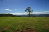 Lot 23 - 25, Binna Burra Road, Beechmont, Qld 4211-Image