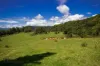 Lot 23 - 25, Binna Burra Road, Beechmont, Qld 4211-Image