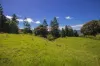 Lot 23 - 25, Binna Burra Road, Beechmont, Qld 4211-Image