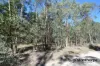 Lot 231, Central Road, Sugarloaf, Qld 4380-Image