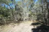 Lot 231, Central Road, Sugarloaf, Qld 4380-Image