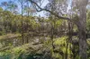Lot 24 Clancy Road, Eppalock, Vic 3551-Image