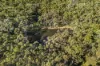 Lot 24 Clancy Road, Eppalock, Vic 3551-Image