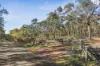 Lot 24 Clancy Road, Eppalock, Vic 3551-Image