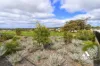 Lot 25 (8) Corymbia Rise, Lange, WA 6330-Image