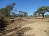 lot-252 & 251, Cnr Bruce Highway & Lodge Road, Bowen, Qld 4805-Image