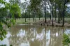 Lot 254, Nanango - Brooklands Road, Nanango, Qld 4615-Image