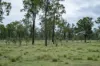 Lot 254, Nanango - Brooklands Road, Nanango, Qld 4615-Image