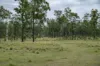 Lot 254, Nanango - Brooklands Road, Nanango, Qld 4615-Image