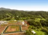 Lot 255, Celeste Road, Upper Coomera, Qld 4209-Image