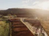 Lot 263, Alford Grove, Glenvale, Qld 4350