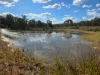 Lot 281 Boyce Road, Thorndale, Qld 4380