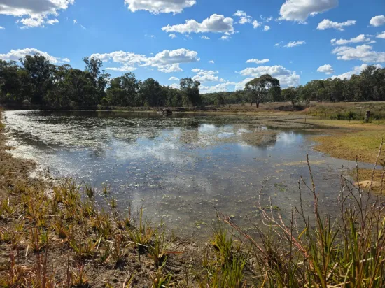 Lot 281 Boyce Road, Thorndale, Qld 4380