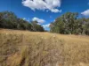 Lot 281 Boyce Road, Thorndale, Qld 4380-Image