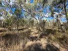 Lot 281 Boyce Road, Thorndale, Qld 4380-Image