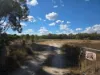 Lot 281 Boyce Road, Thorndale, Qld 4380-Image