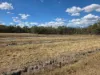 Lot 281 Boyce Road, Thorndale, Qld 4380-Image