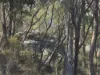 Lot 281 Boyce Road, Thorndale, Qld 4380-Image