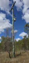 Lot 284, Bruce Highway, Owanyilla, Qld 4650-Image