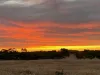 Lot 285 Flinders highway, Streaky Bay, SA 5680