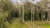 Lot 3, 124  Wust Road, Doonan, Qld 4562-Image