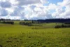 Lot 3, 1660 Edith Road, Edith, NSW 2787