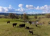 Lot 3, 1660 Edith Road, Edith, NSW 2787-Image