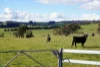 Lot 3, 1660 Edith Road, Edith, NSW 2787-Image