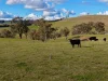 Lot 3, 1660 Edith Road, Edith, NSW 2787-Image