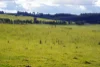 Lot 3, 1660 Edith Road, Edith, NSW 2787-Image