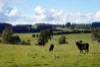 Lot 3, 1660 Edith Road, Edith, NSW 2787-Image