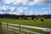Lot 3, 1660 Edith Road, Edith, NSW 2787-Image