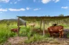 Lot 3/468 Bilwon Road, Biboohra, Qld 4880
