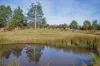 Lot 3, Andrewartha Road, Raminea, Tas 7109