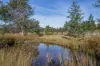 Lot 3, Andrewartha Road, Raminea, Tas 7109-Image