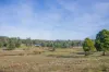 Lot 3, Andrewartha Road, Raminea, Tas 7109-Image