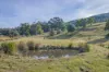 Lot 3, Andrewartha Road, Raminea, Tas 7109-Image