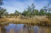 Lot 3, Andrewartha Road, Raminea, Tas 7109-Image