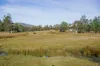 Lot 3, Andrewartha Road, Raminea, Tas 7109-Image