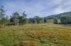 Lot 3, Andrewartha Road, Raminea, Tas 7109-Image