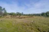 Lot 3, Andrewartha Road, Raminea, Tas 7109-Image