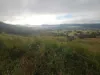 Lot 3 Diggings Rd, Glastonbury, Qld 4570-Image